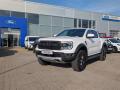 Ford Ranger Raptor, Dvojkabina, 3.0 EcoBoo