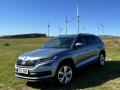�koda Kodiaq 2.0 TDI 4x4 / 110 kW Ambition