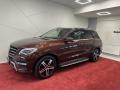 Mercedes-Benz ML350*360*H/K*PANO*TAN*DPH