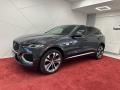 Jaguar F-Pace D300 R-Dynamic*360*PANO*ACC