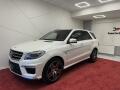 Mercedes-Benz ML63 AMG DESIGNO*PANO*CZ*TA�N�