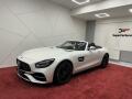 Mercedes-Benz AMG GT GT-S Cabrio*TOP SPEC*CZ*1.MAJ.