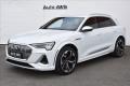 Audi e-tron S  370 Quattro Digital LED