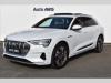 Audi e-tron 55  300kW Quattro S-Line Assis