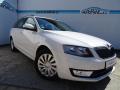koda Octavia 1.6TDi,77kW,1maj,s.kn,navi