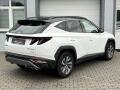 N�hled 6