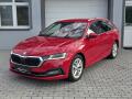N�hled 5