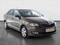�koda Rapid 1.0 TSI, Tempomat