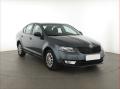 koda Octavia Ambition 1.6 TDI, Tempomat