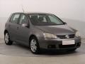 Volkswagen Golf 1.6, LPG, jezd vborn