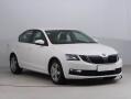 �koda Octavia Ambition 1.6 TDI, Tempomat