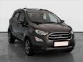 Ford EcoSport 1.0 EcoBoost, Tempomat