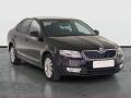 �koda Octavia Ambition 1.4 TSI, Tempomat
