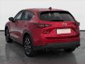 N�hled 5