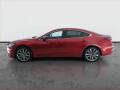 N�hled 4