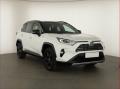 Toyota RAV4 2.5 Hybrid, R, 1. MAJITEL