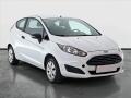 Ford Fiesta 1.25, Serv.kniha