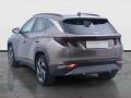 N�hled 5