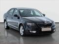 �koda Octavia Ambition 1.6 TDI, Tempomat