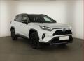 Toyota RAV4 2.5 Hybrid, 4x4, ACC, DPH