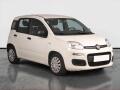 Fiat Panda 1.0 FireFly