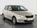 �koda Fabia Ambiente 1.2 TSI, Serv.kniha