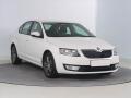 �koda Octavia Ambition 1.6 TDI, Tempomat