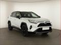 Toyota RAV4 2.5 Hybrid, Panorama