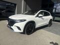Mercedes-Benz EQS EQS 450 4MATIC SUV
