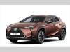 Lexus UX 250h 2.0 UX300h Prestige +  2.0 HEV