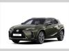 Lexus UX 250h 2.0 UX300h FSport Plus  2.0 HE