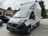 Fiat Ducato MAXI-250-SK-R