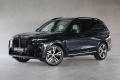 BMW X7 40d xDrive, Tan, Nezvisl