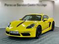 Porsche Cayman 2.0 220 kW PDK Kamera Ad. temp