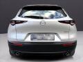 N�hled 29