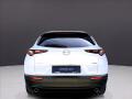 N�hled 20