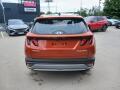 N�hled 4