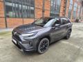 Toyota RAV4 2.5 Hybrid Selection 4x2 Tan