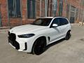 BMW X5 xDrive30d M PAKET PRO + Z�ruka