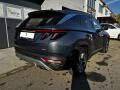 N�hled 6