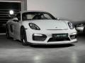 Porsche Cayman CaymanS*Bucket*Manual*Folie