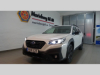 Subaru Outback 2.5 4WD Tan Kamera Field