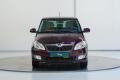 N�hled 50