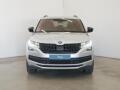 N�hled 50