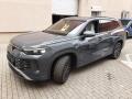 Volkswagen Tayron 2.0 TSI 150kW 4x4 DSG Elegance