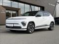 Hyundai Kona Power 65kW  Style Premium TT