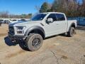 Ford F-150 RAPTOR
