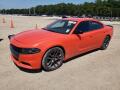 Dodge Charger SXT 3.6