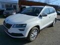�koda Karoq 2.0 tdi 4x4