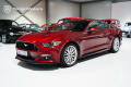 Ford Mustang GT, Naj. 18 tis km, 1majitel
